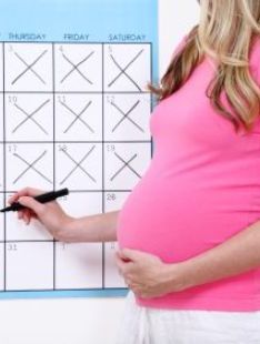 calendario-settimane-gravidanza