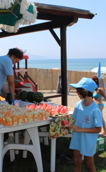 fruit-and-salad-on-the-beach-2016